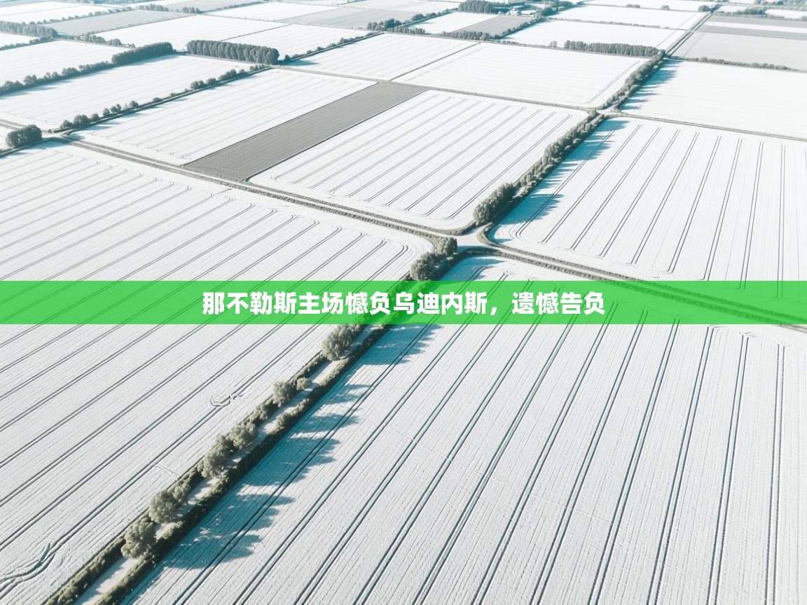 那不勒斯主场憾负乌迪内斯，遗憾告负  第2张