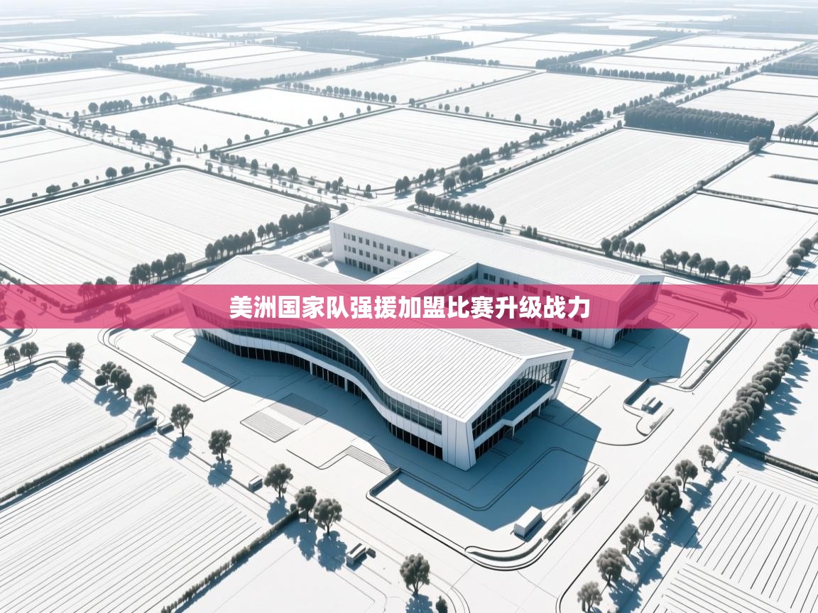 美洲国家队强援加盟比赛升级战力  第1张