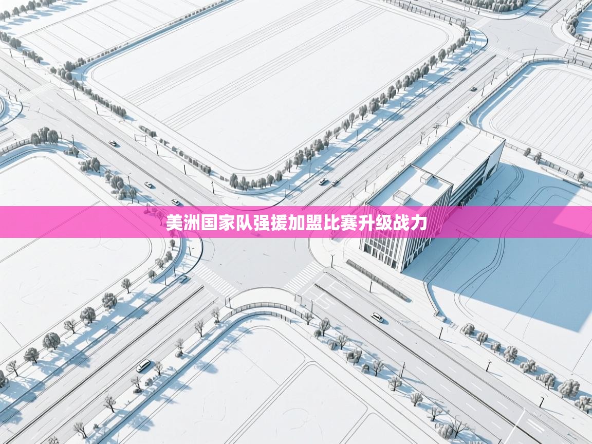 美洲国家队强援加盟比赛升级战力  第2张