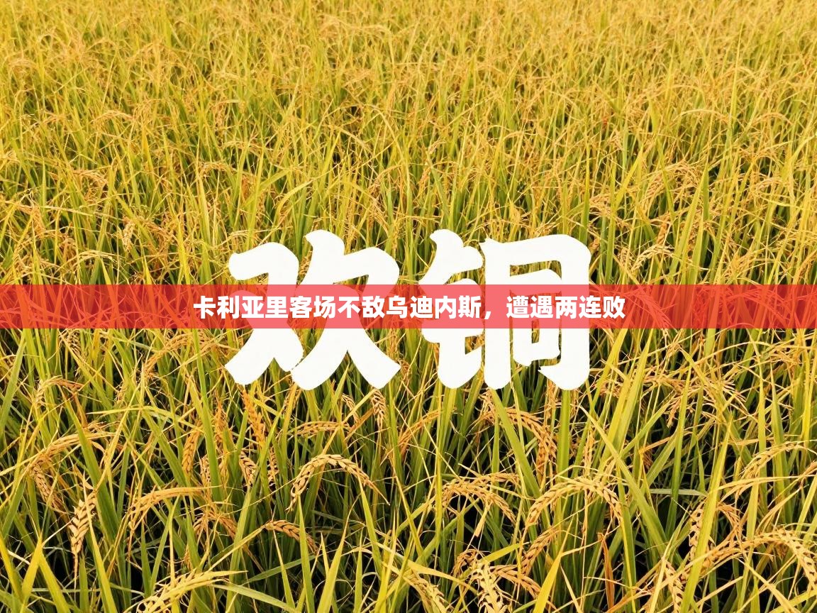 卡利亚里客场不敌乌迪内斯，遭遇两连败  第2张