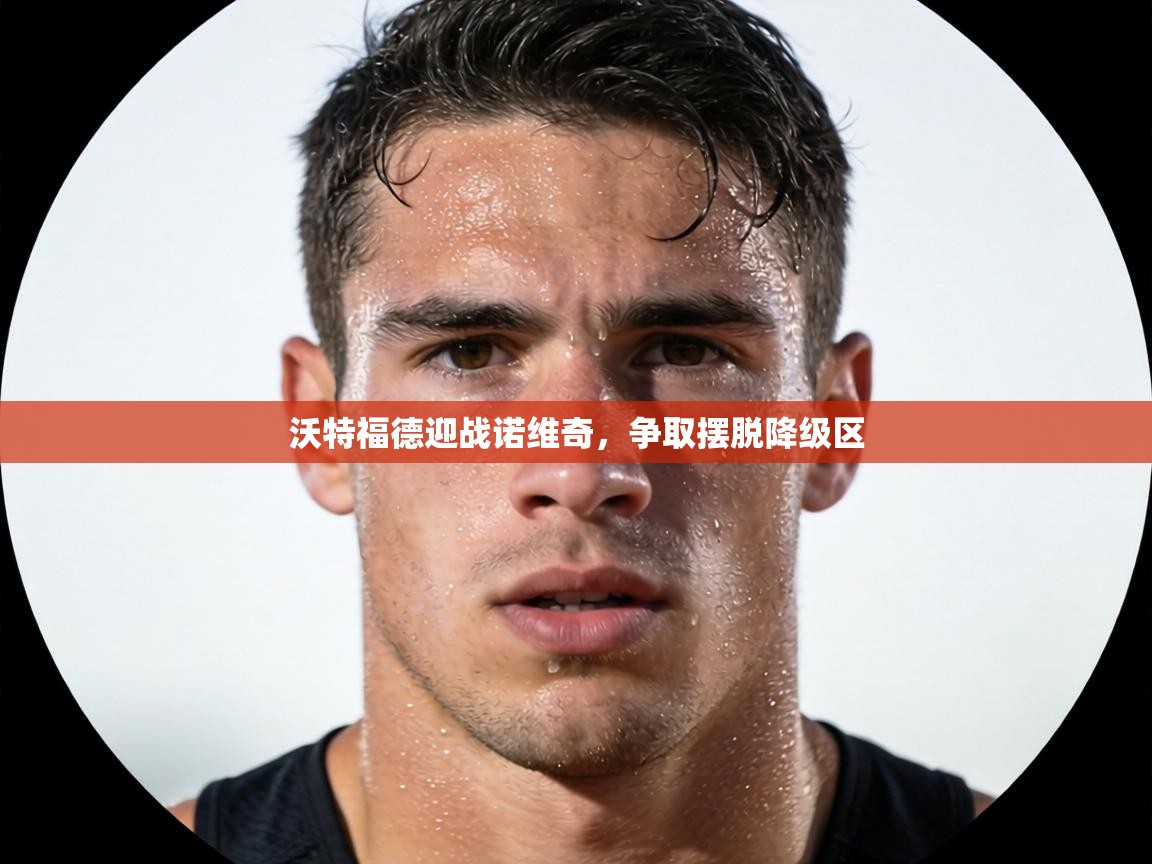 沃特福德迎战诺维奇，争取摆脱降级区  第1张