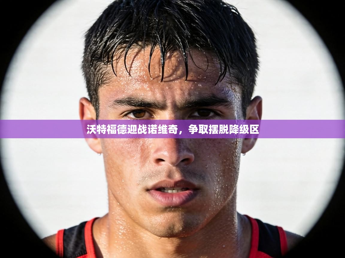 沃特福德迎战诺维奇，争取摆脱降级区  第2张