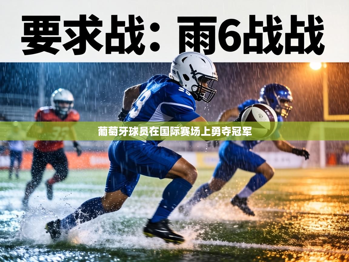 葡萄牙球员在国际赛场上勇夺冠军  第2张